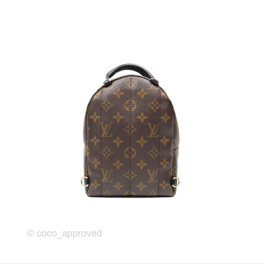 Louis Vuitton Mini Palm Springs Backpack Monogram