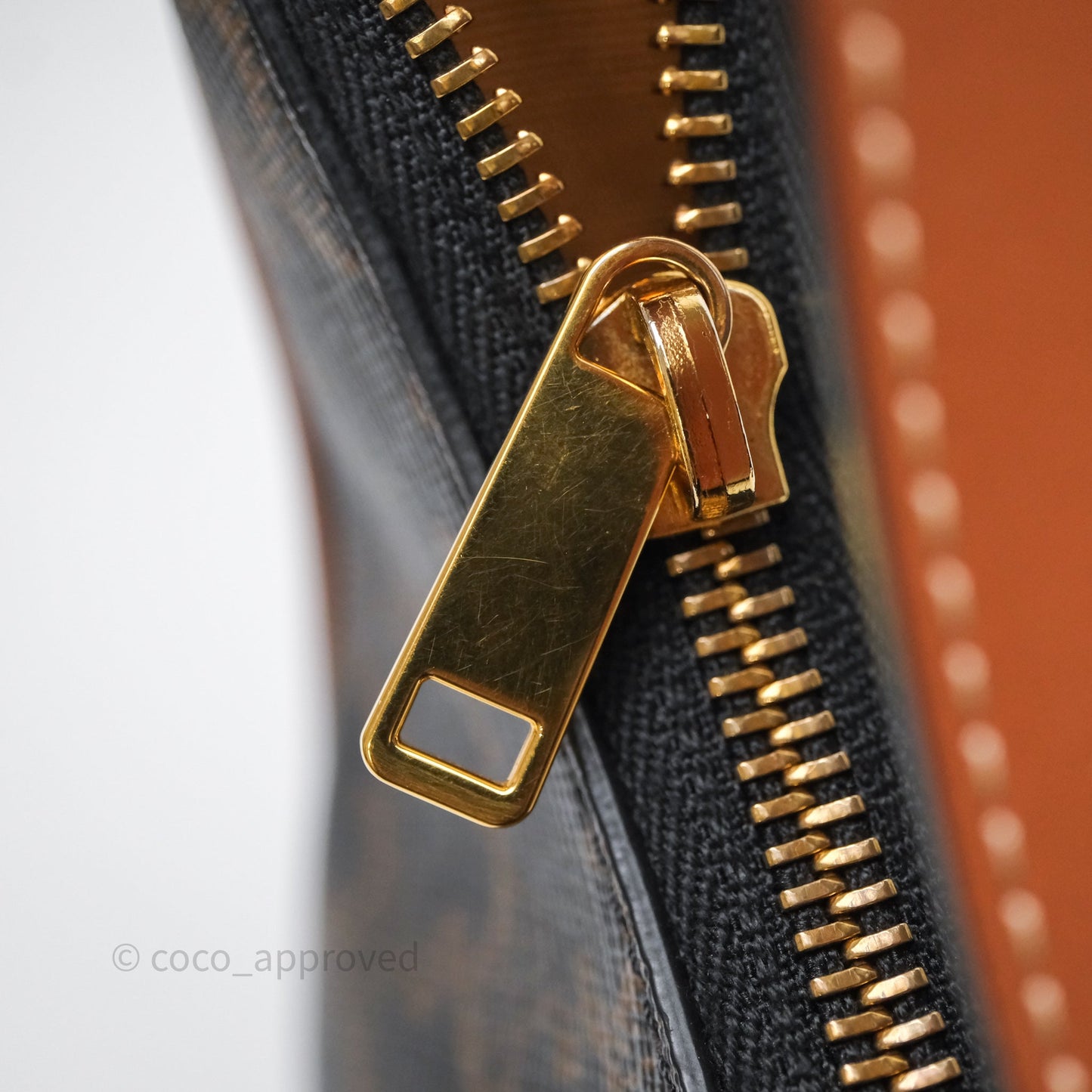 Celine Ava Bag In Triomphe Canvas Calfskin Tan
