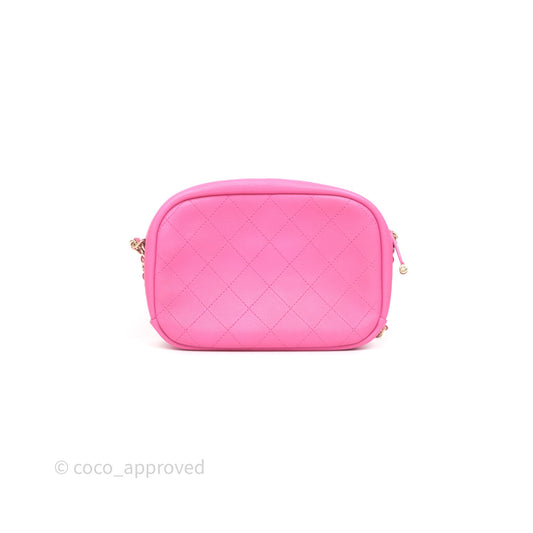 Chanel Camera Bag Pink Calfskin Aged Gold Hardware