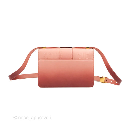 Dior 30 Montaigne Bag Smooth Calfskin Gradient Rose Multicolour
