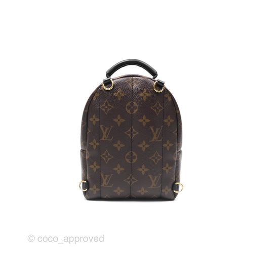 Louis Vuitton Monogram Mini Palm Springs Backpack