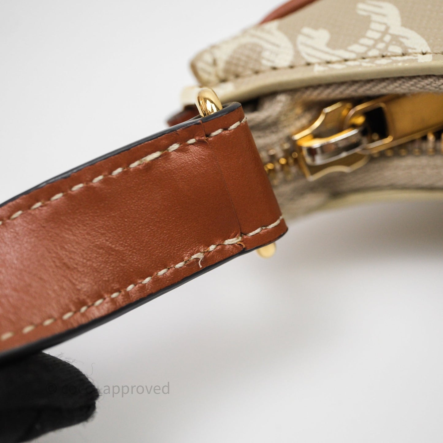 Celine Ava Bag In Triomphe Canvas Calfskin Grege