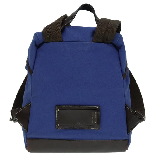 Luxury Prada Backpack Canvas Blue 88293