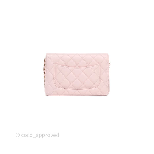 Chanel Classic Quilted Wallet on Chain WOC Light Pink Caviar Gold Hardware