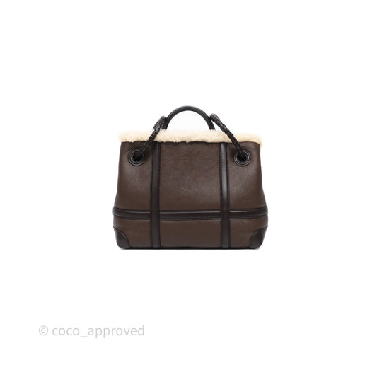 Bottega Veneta Shearling Aviator Small Andiamo Bag Brown