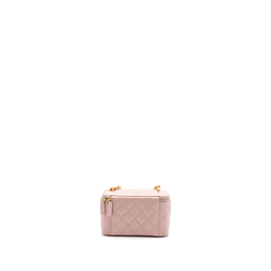 Chanel Long Vanity Case Camellia Chain Lambskin Light Pink GHW (Microchip)