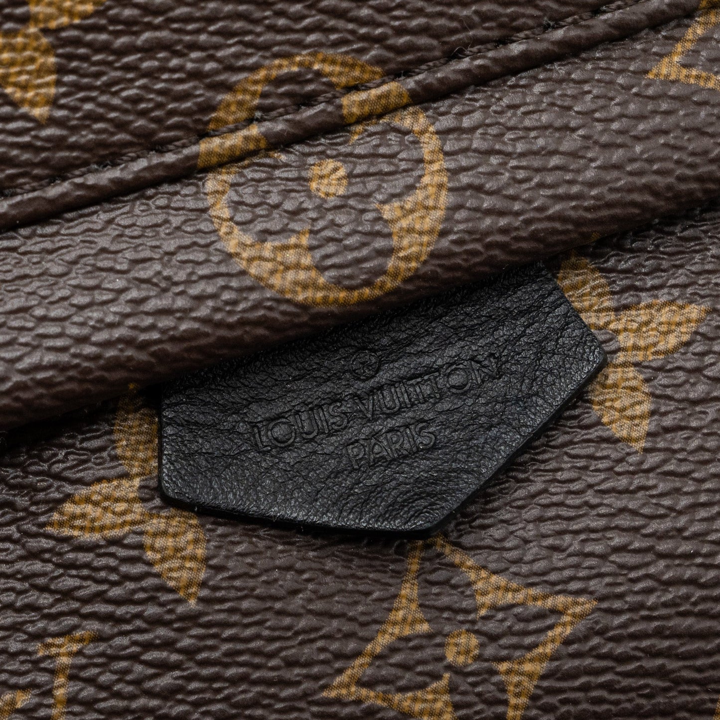 Louis Vuitton Mini Palm Spring Backpack Monogram Canvas GHW