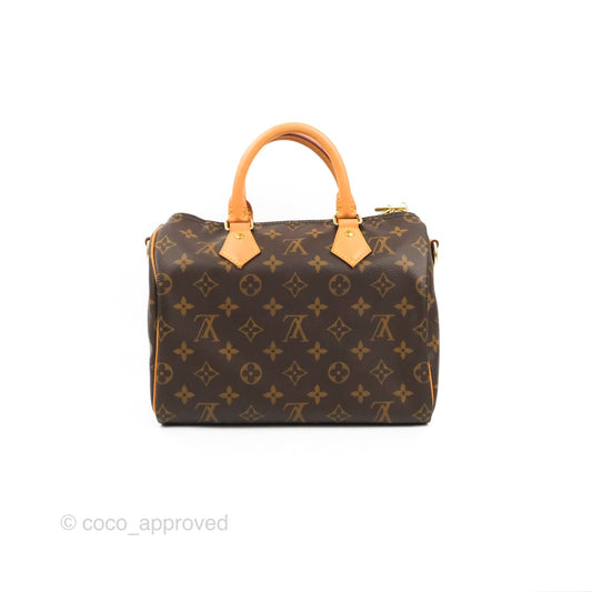 Louis Vuitton Speedy 25 Monogram Canvas