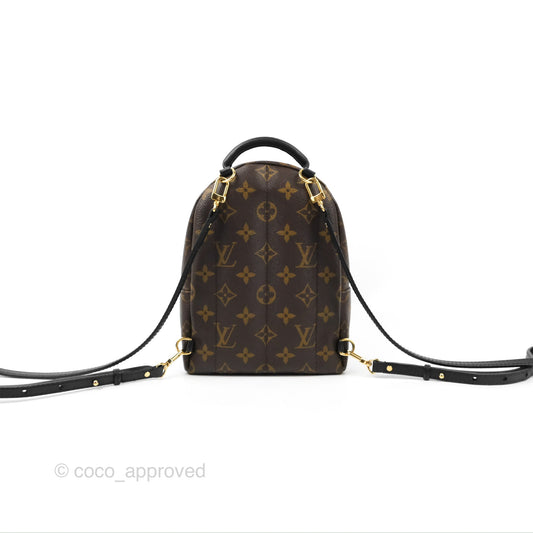 Louis Vuitton Monogram Mini Palm Springs Backpack
