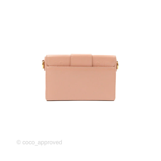 Christian Dior 30 Montaigne Rose Des Vents Calfskin Box Bag