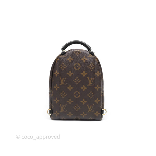 Louis Vuitton Mini Palm Springs Backpack Monogram