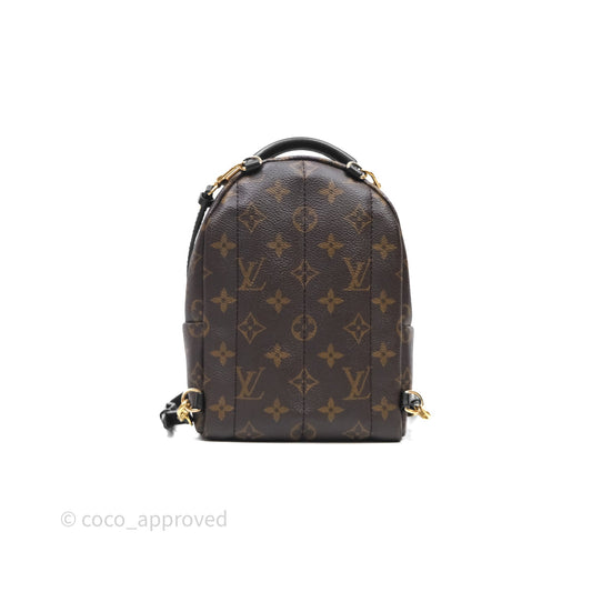 Louis Vuitton Mini Palm Springs Backpack Monogram