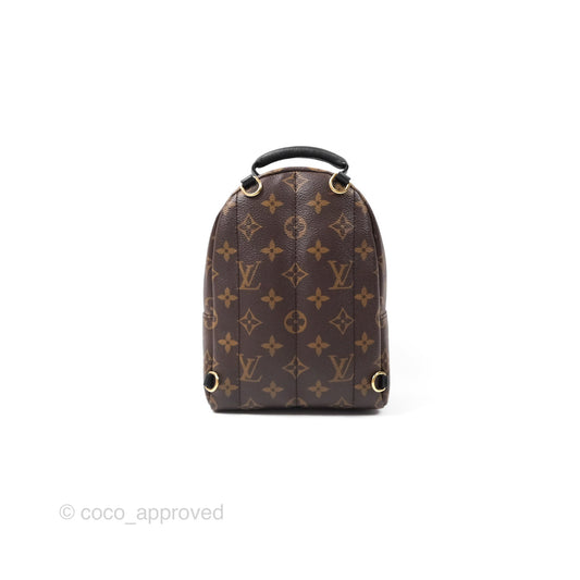 Louis Vuitton Monogram Mini Palm Springs Backpack