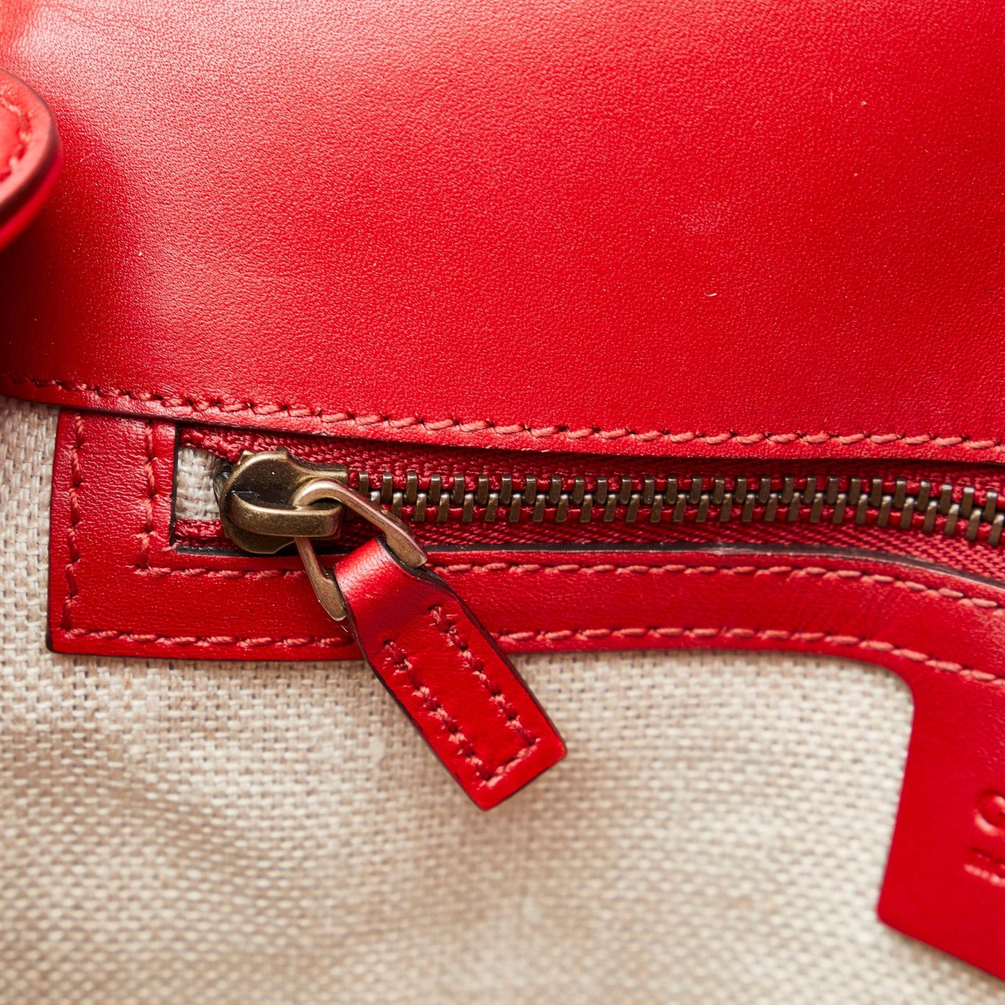 Gucci Medium GG Canvas Lady Web Crossbody Bag (SHG-hrPCbV)