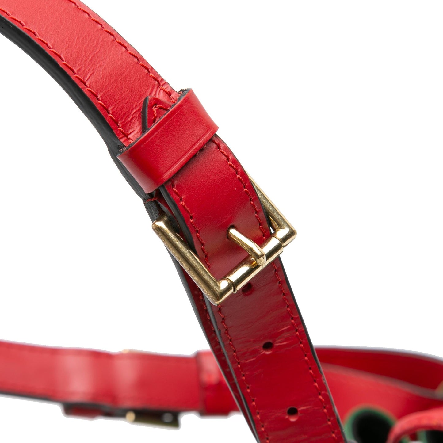 Louis Vuitton Epi Petit Bicolor Noe