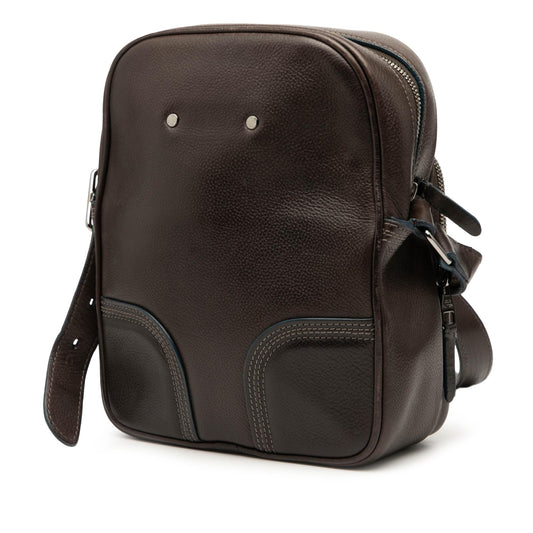 Louis Vuitton Leather Bequia Trotter MM