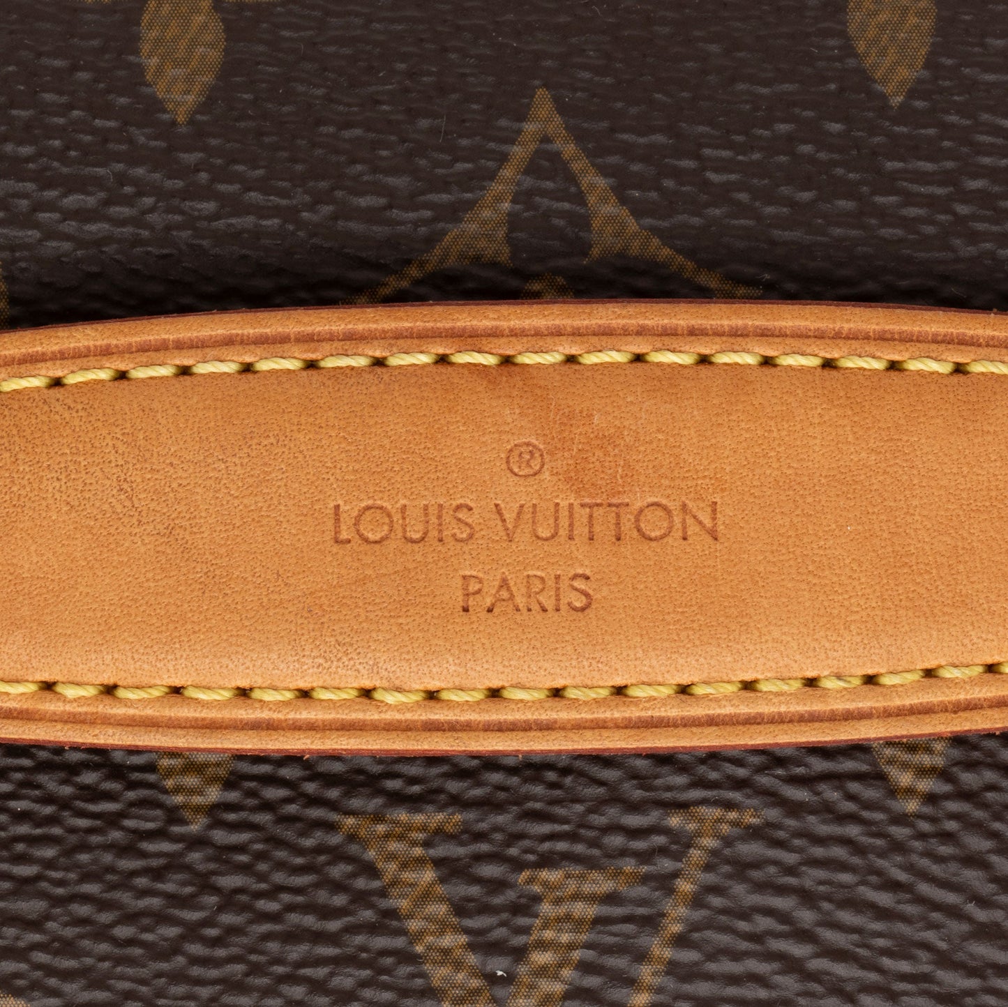 Louis Vuitton Monogram Canvas BumBag (SHF-C5Iztc)