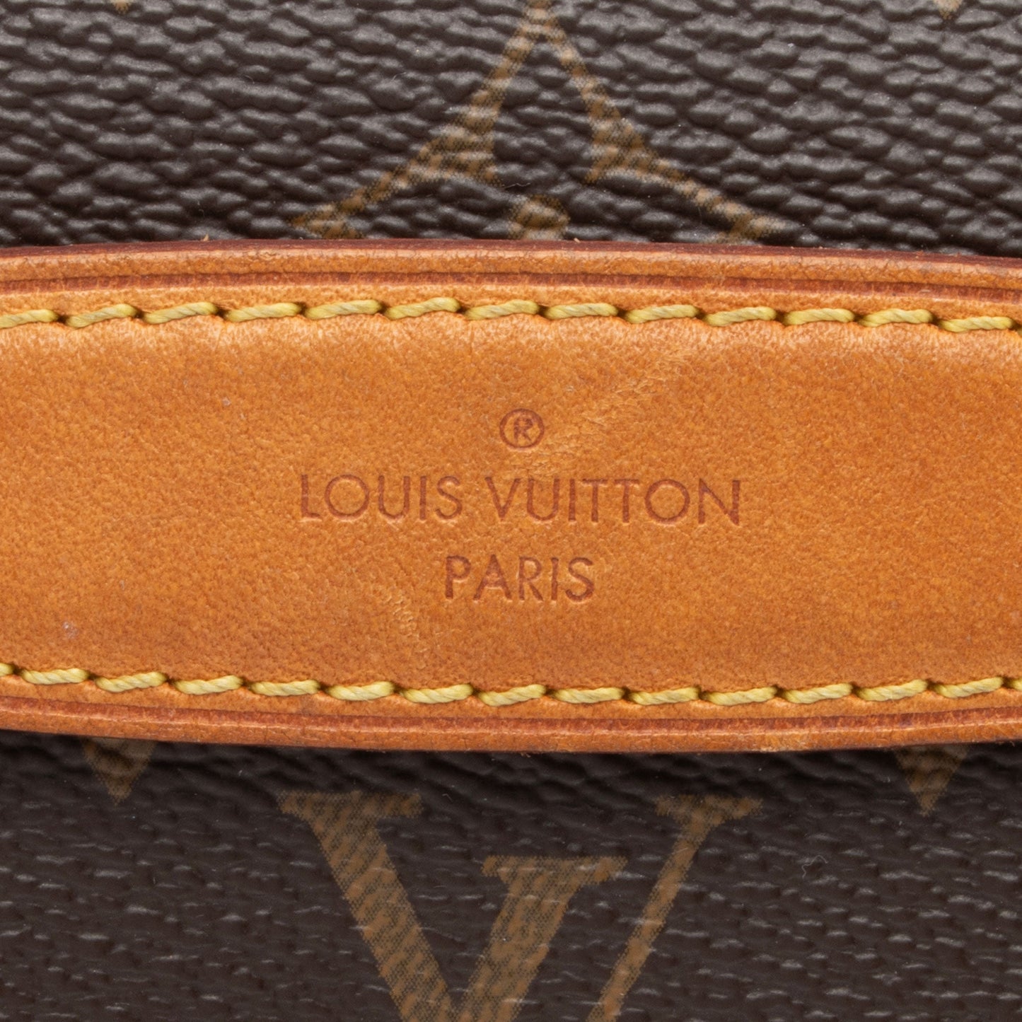 Louis Vuitton Monogram Canvas Bumbag (SHF-BfWtHC)