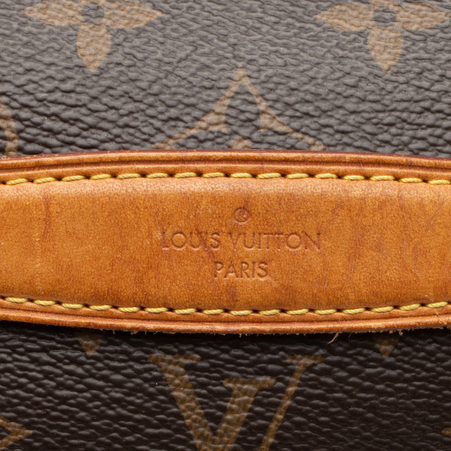 Louis Vuitton Monogram Canvas Bumbag (SHF-w6VOvH)