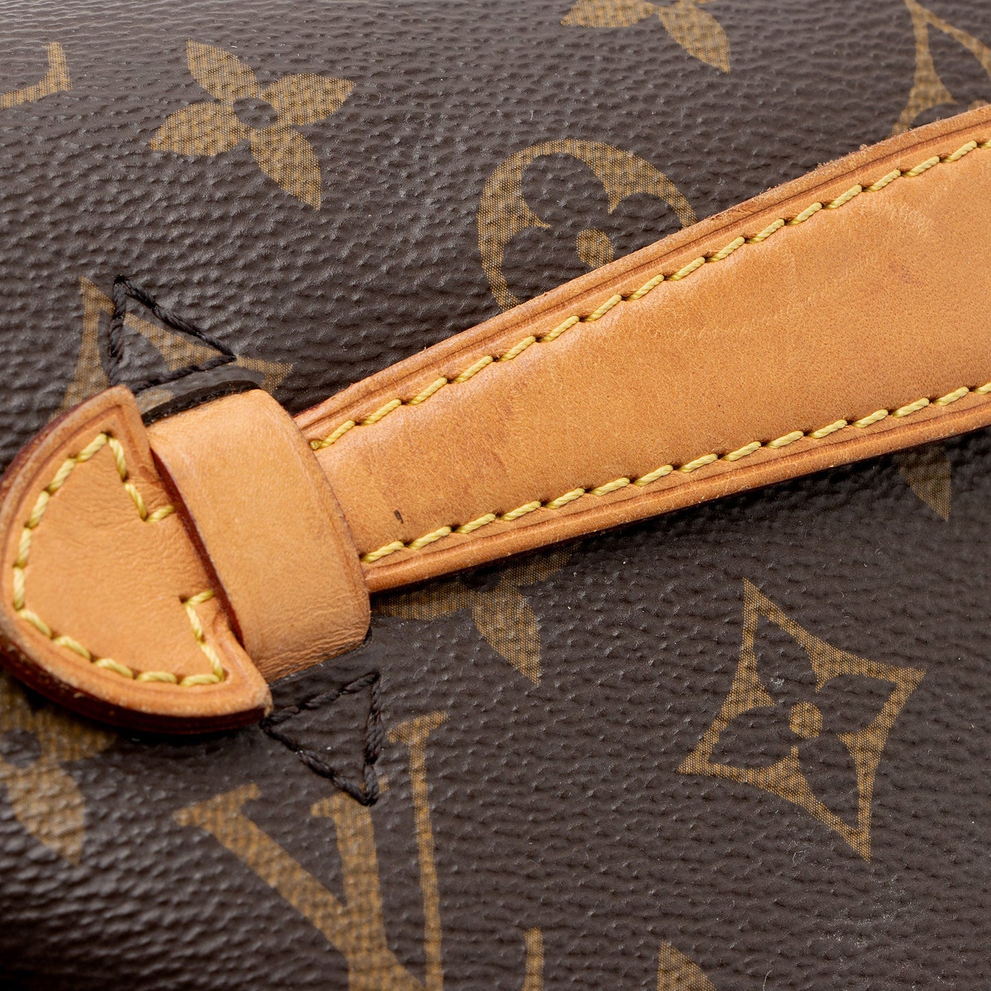 Louis Vuitton Monogram Canvas Bumbag