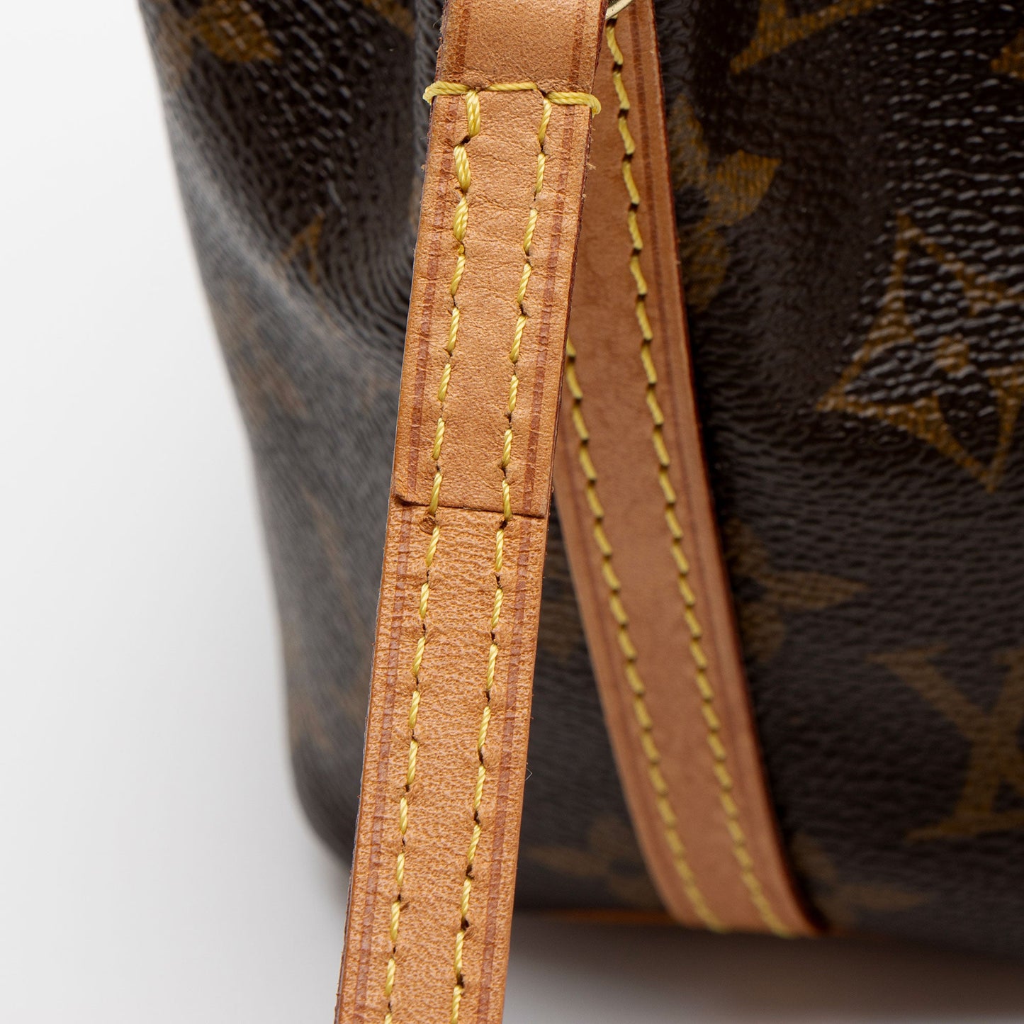 Louis Vuitton Monogram Canvas Nano Noe Shoulder Bag