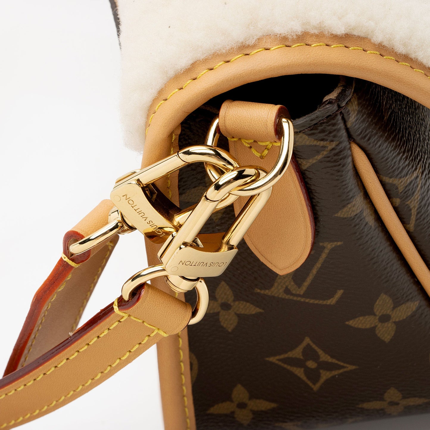 Louis Vuitton Monogram Canvas Shearling Cozygram Diane Shoulder Bag (SHF-zHKCJF)