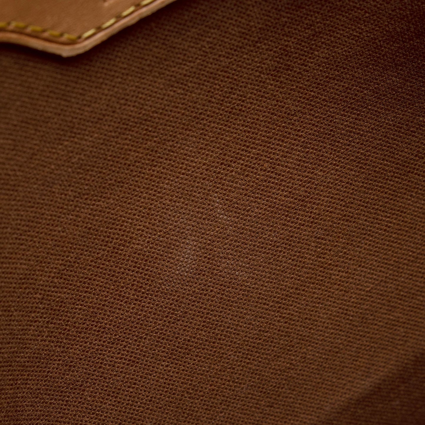 Louis Vuitton Monogram Canvas Vavin GM Tote (SHF-9FOONj)