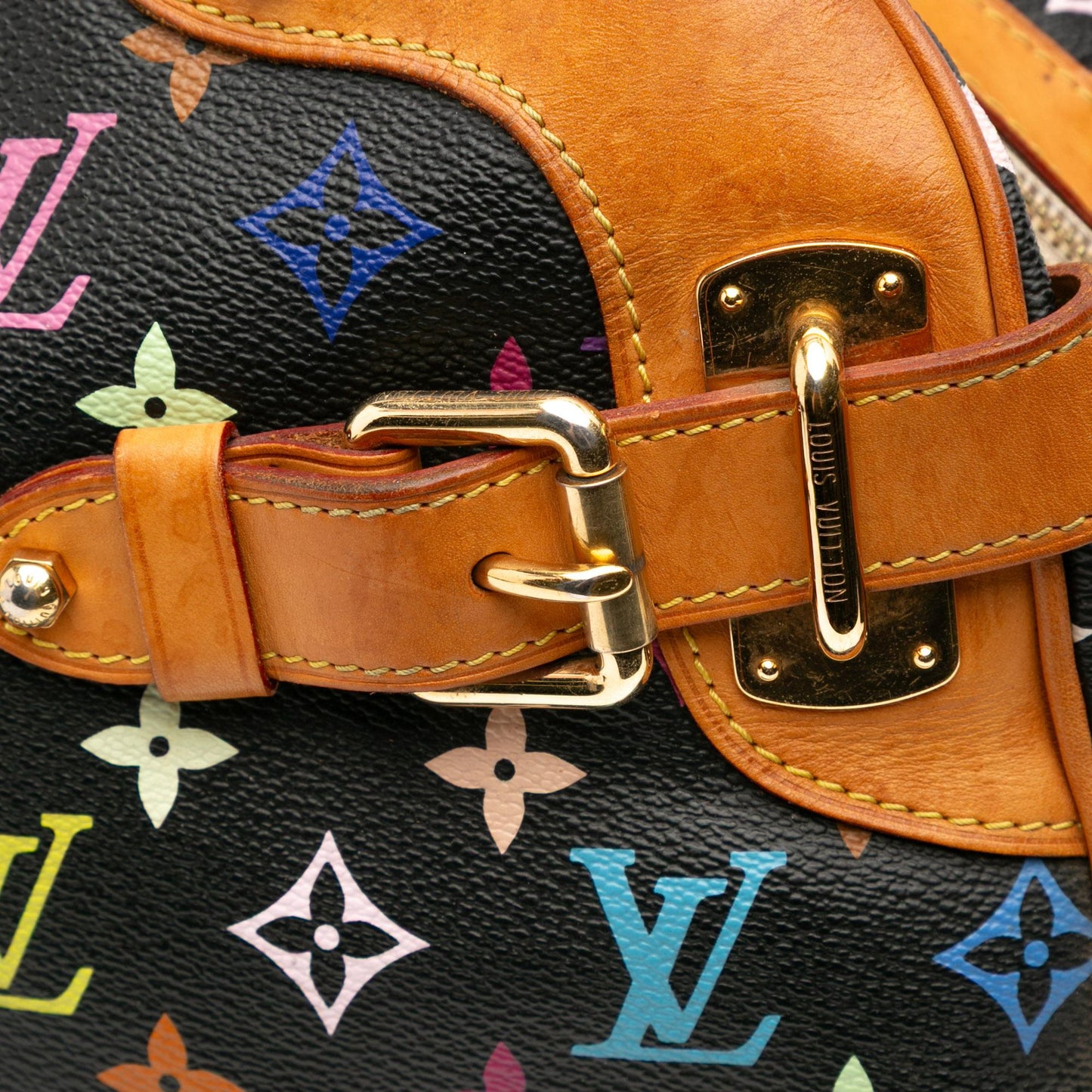 Louis Vuitton Monogram Multicolore Claudia