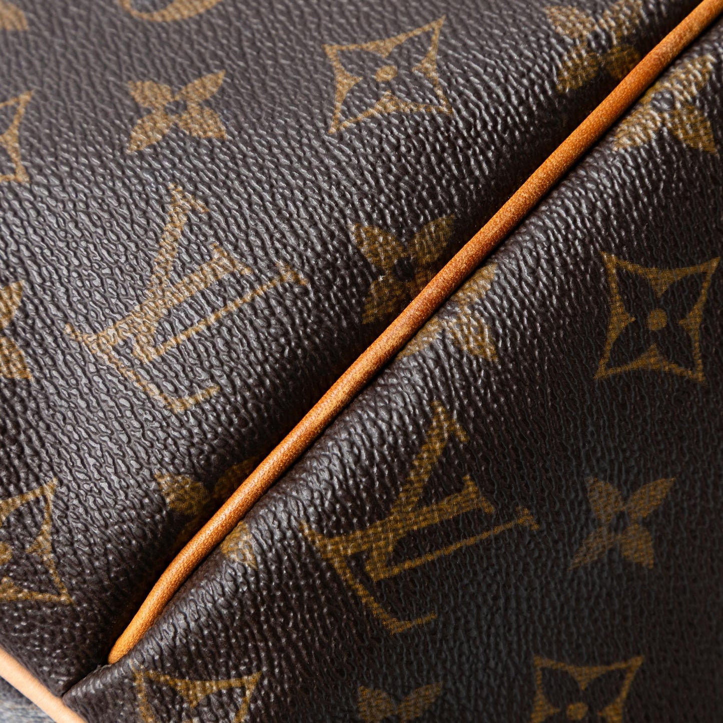 Louis Vuitton Monogram Palermo GM