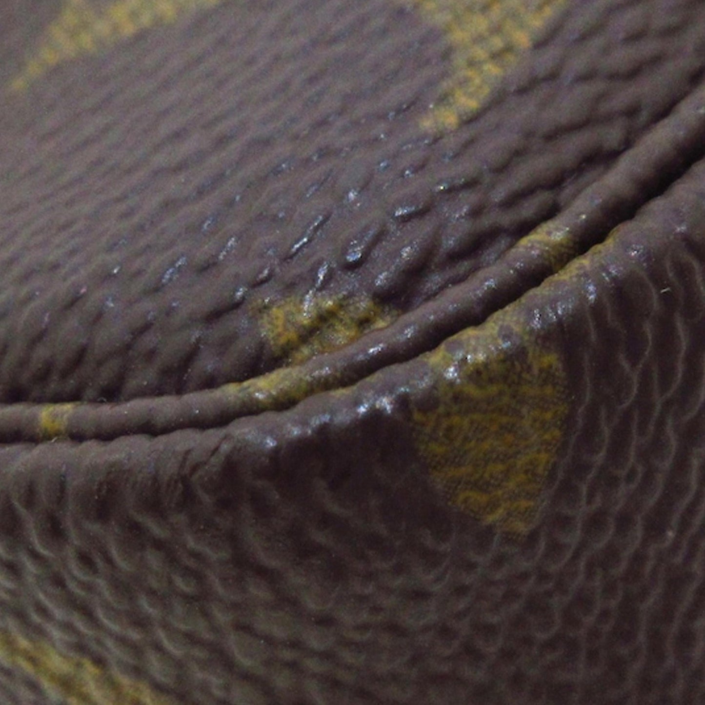 Louis Vuitton Monogram Pochette Accessoires (SHG-36248)
