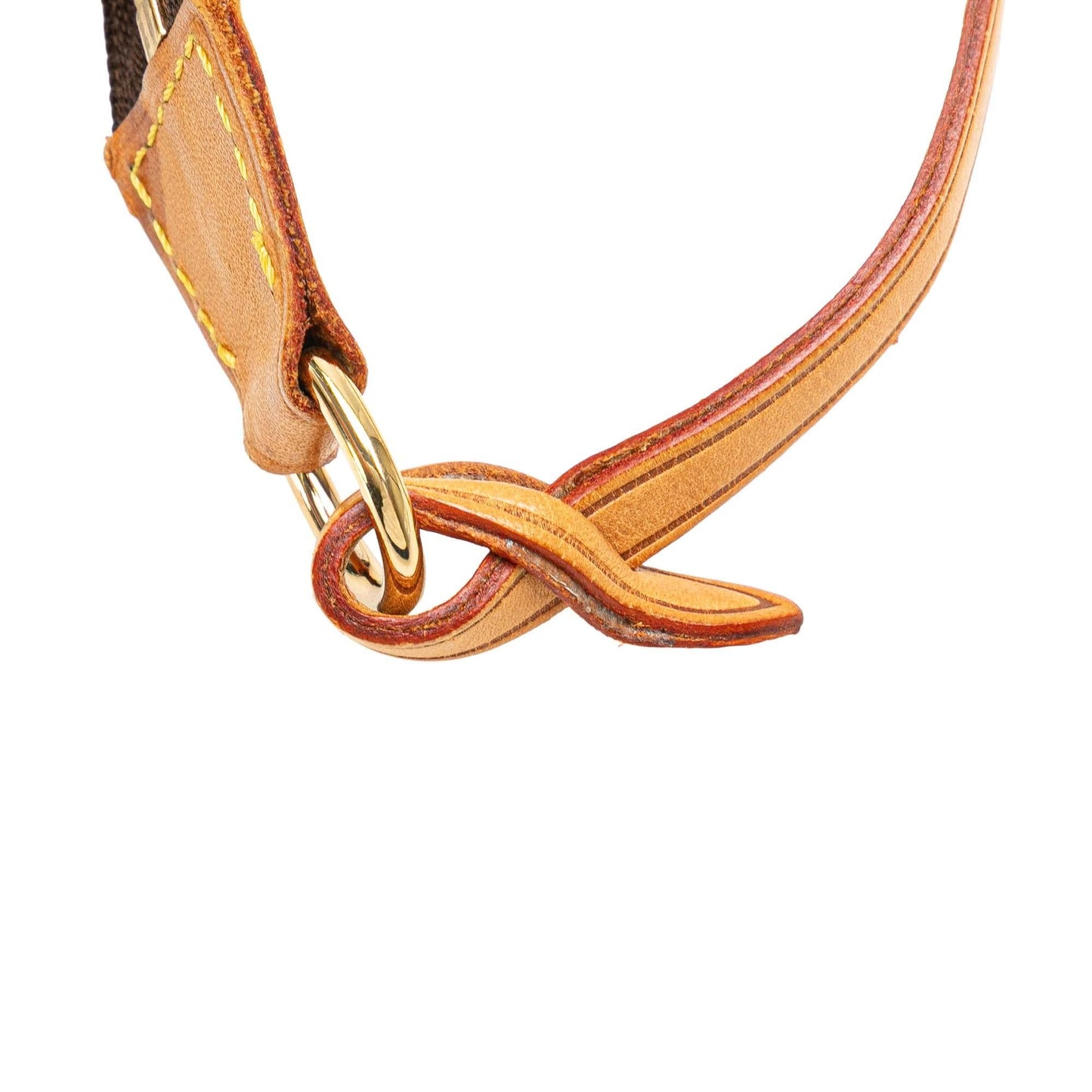Louis Vuitton Monogram Pochette Accessoires