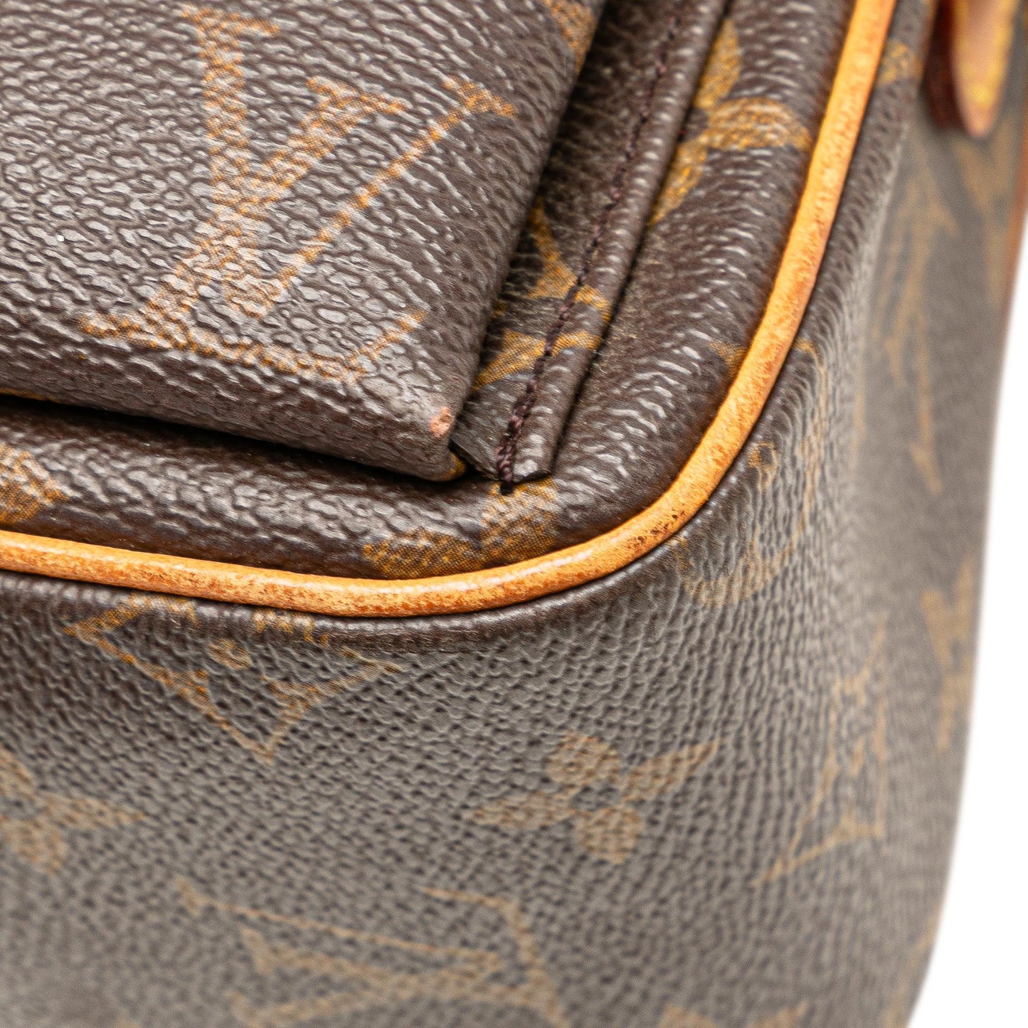 Louis Vuitton Monogram Viva Cite MM
