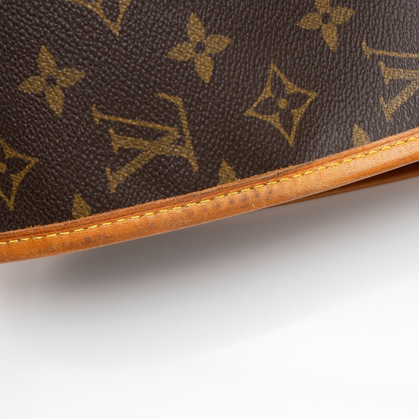 Louis Vuitton Vintage Monogram Canvas Garment Cover (SHF-YKtzEr)
