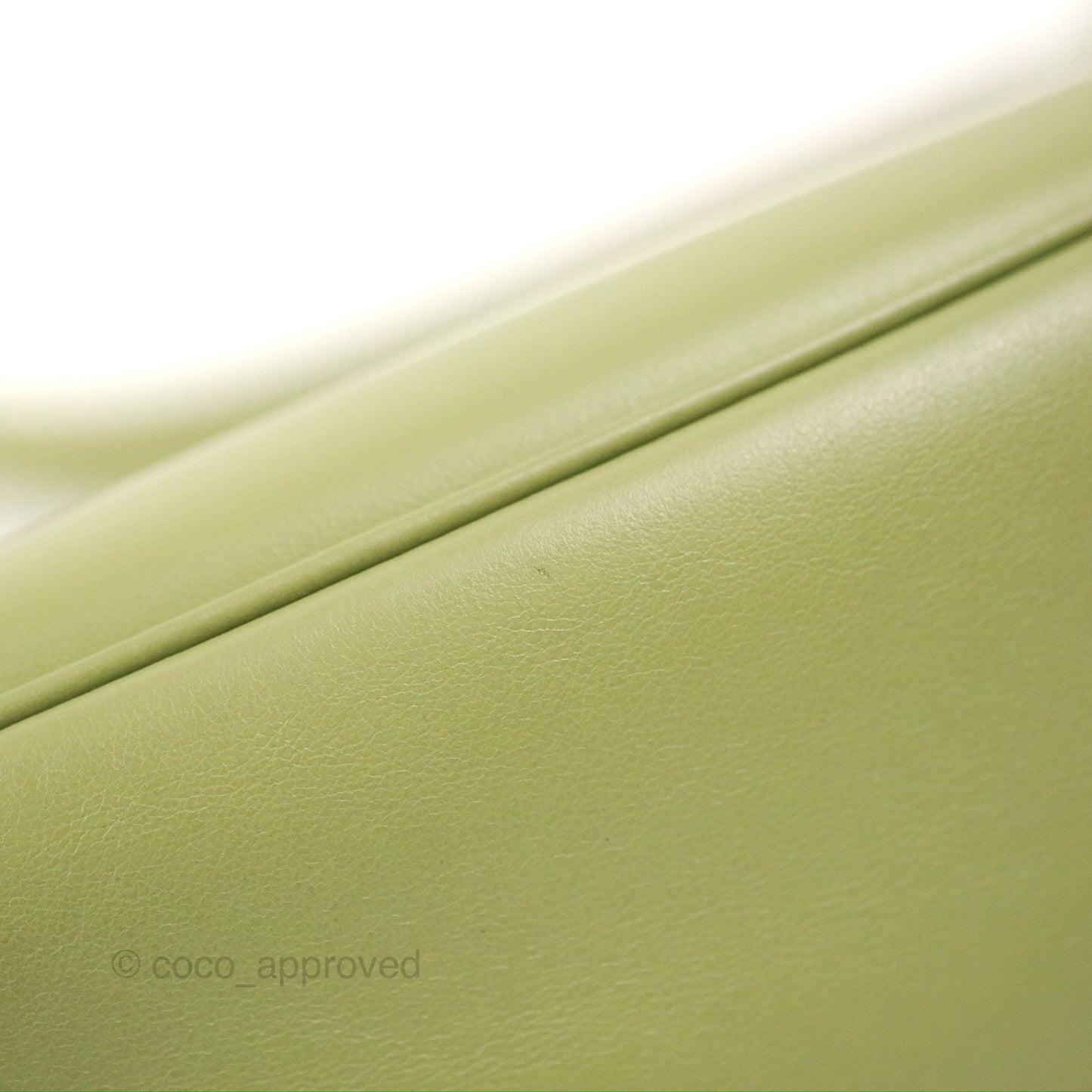 Celine Ava Bag Avocado Green Calfskin