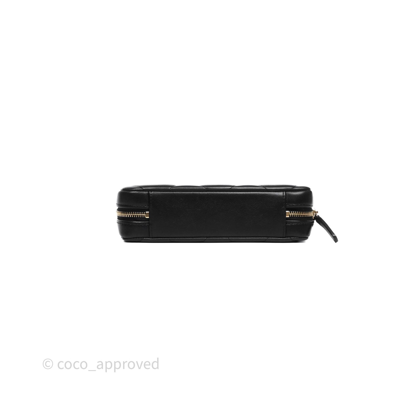 Chanel 19 Camera Bag Black Lambskin Mixed Hardware
