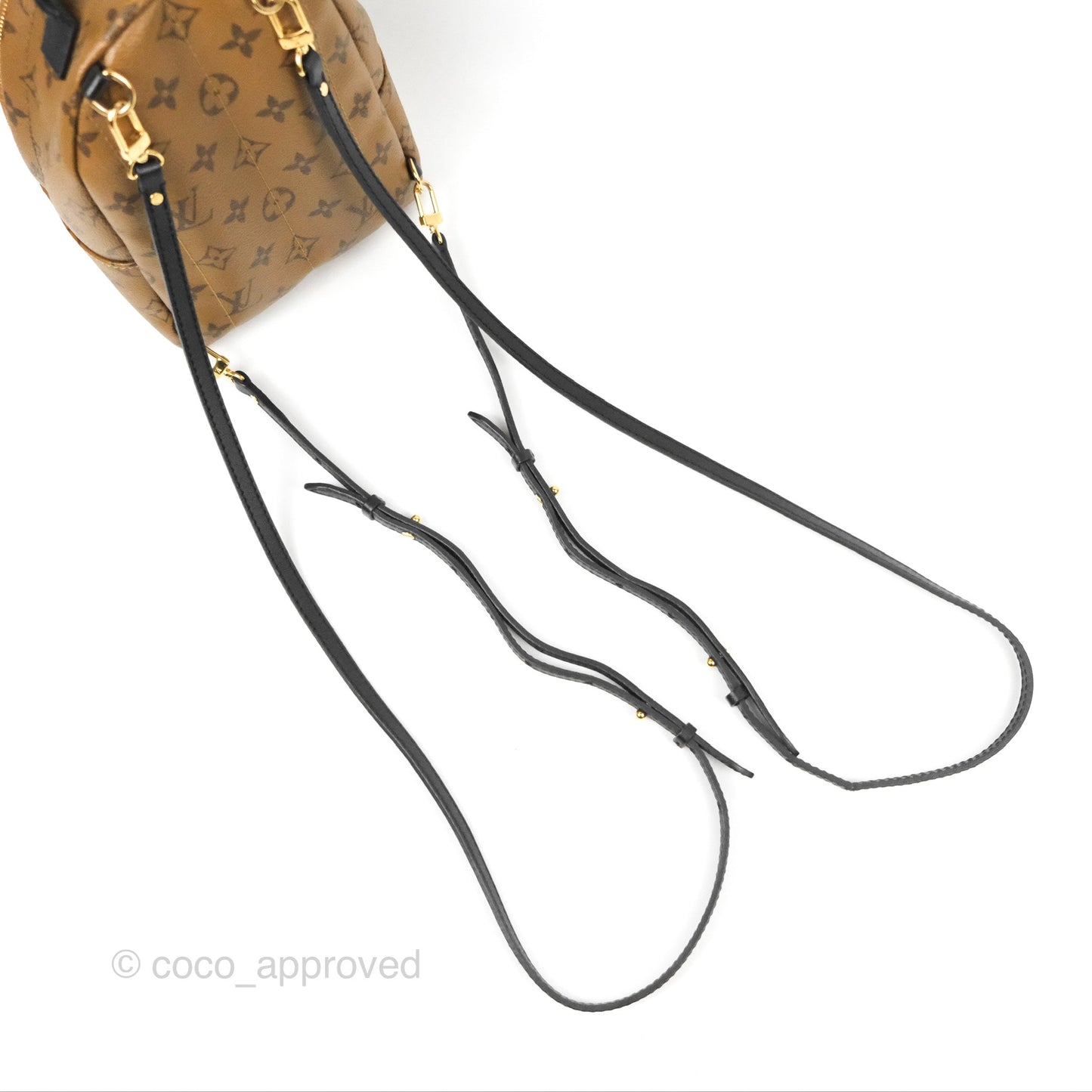 Louis Vuitton Reverse Mini Palm Springs Backpack⁣
