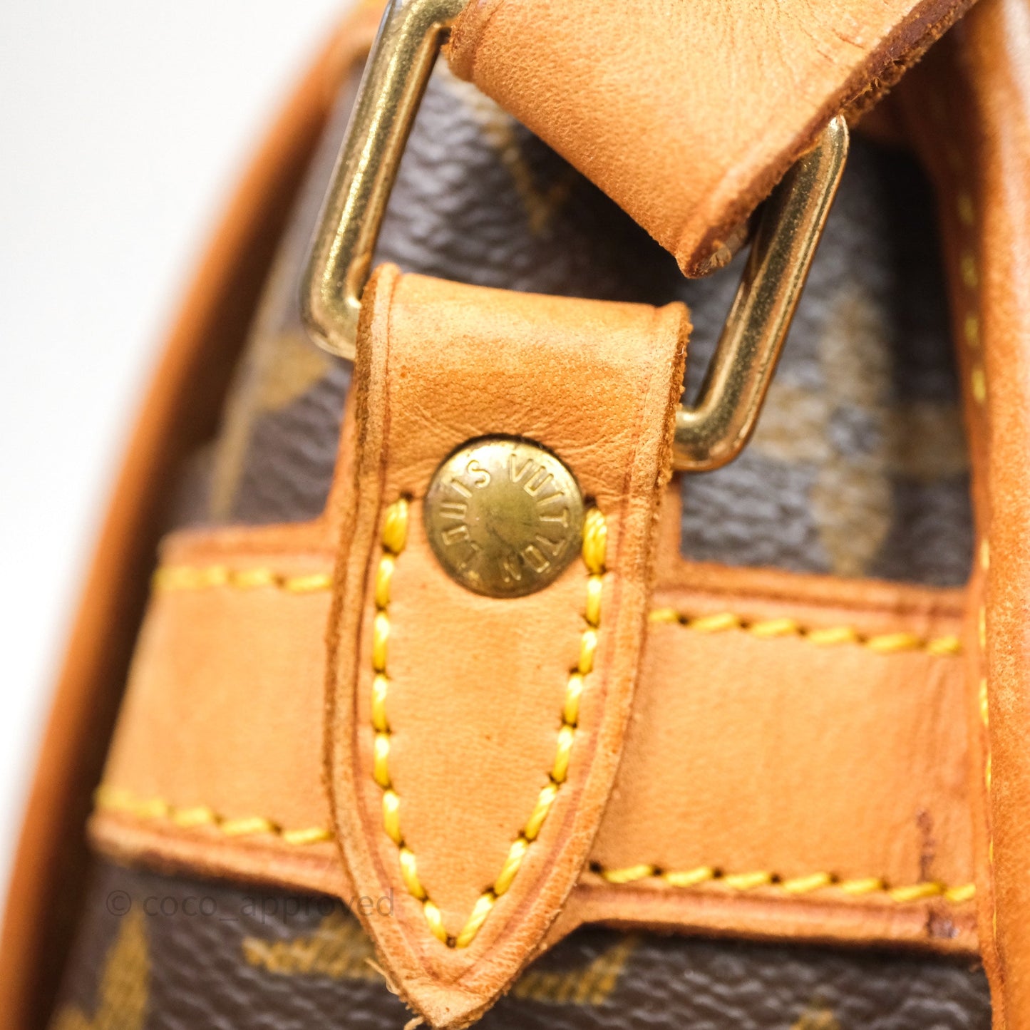 Louis Vuitton Vintage Diane Bag Monogram Canvas