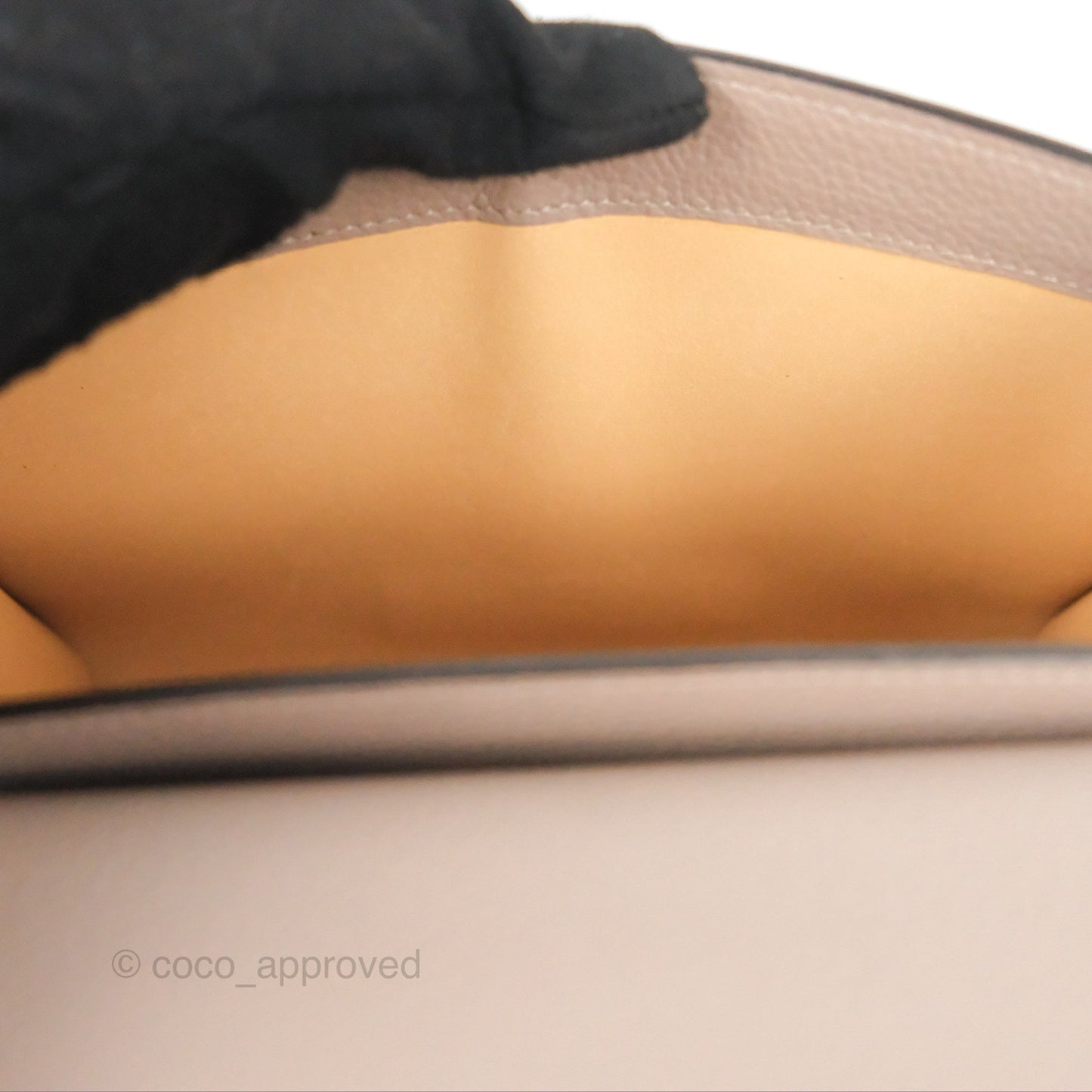 Moynat Réjane PM bag Tourterelle Grained Blush Leather Silver Hardware
