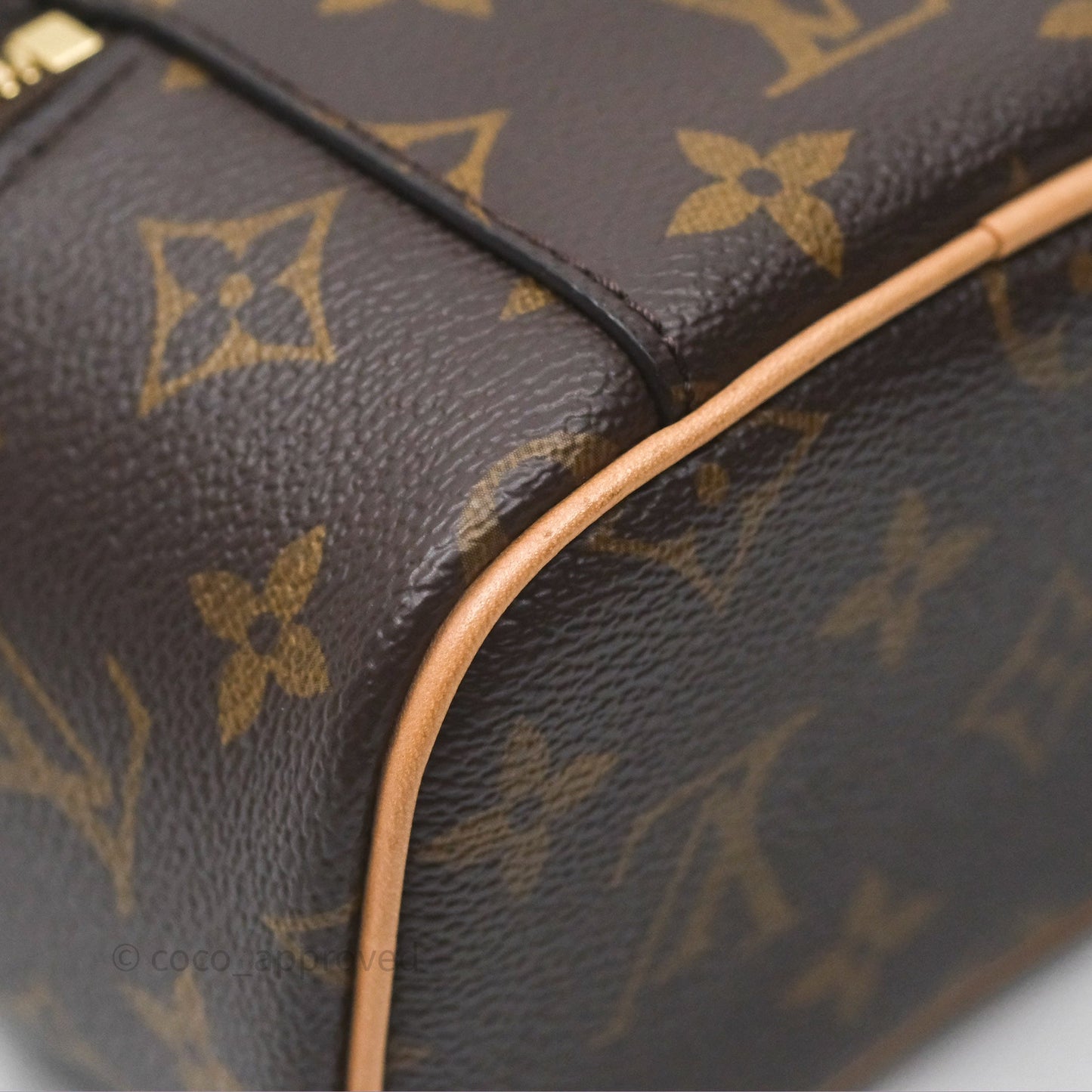 Louis Vuitton Monogram Nice Nano