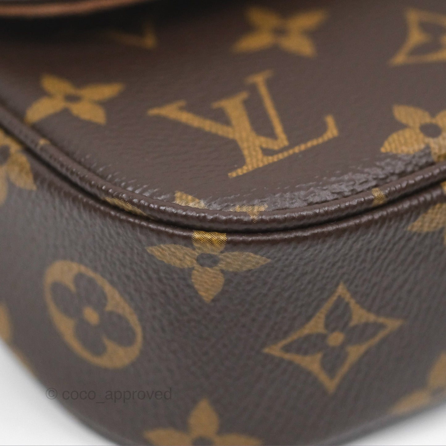 Louis Vuitton Ivy Wallet on Chain Monogram Canvas