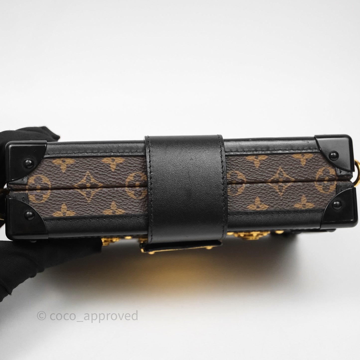 Louis Vuitton Monogram Petite Malle