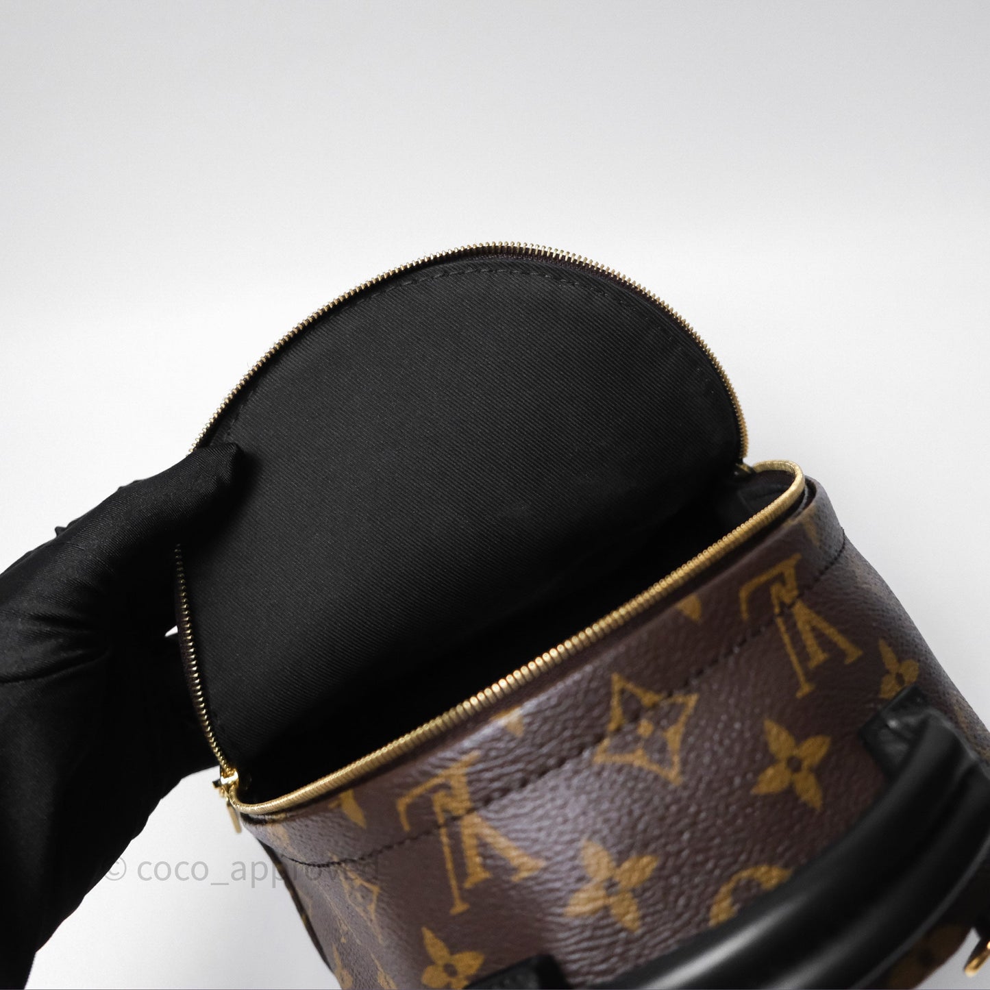 Louis Vuitton Mini Palm Springs Backpack⁣ Monogram