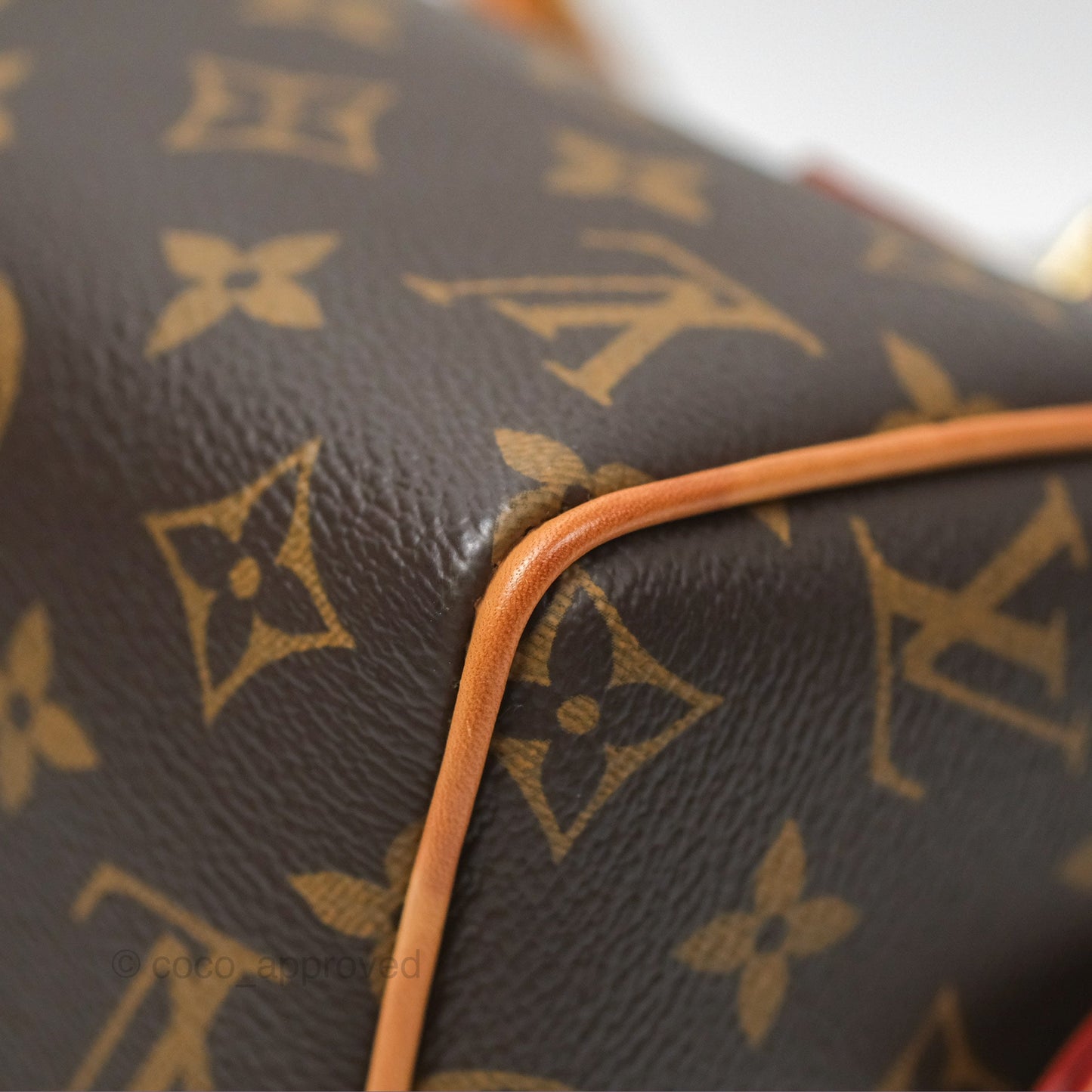 Louis Vuitton Speedy Bandoulière 20 Monogram