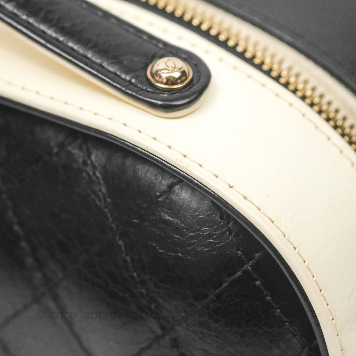 Chanel Camera Case Bag Black/White Calfskin Gold Hardware