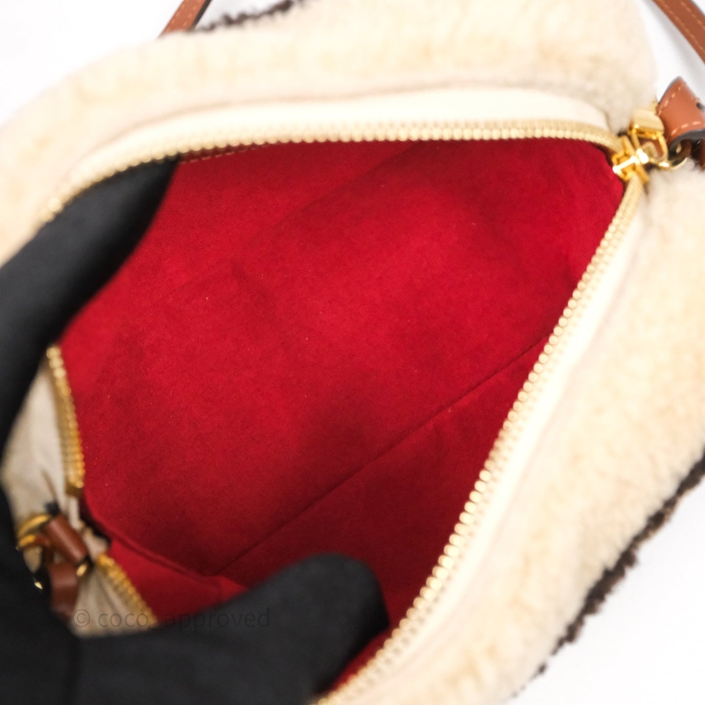 Louis Vuitton Teddy Beach Pouch Monogram