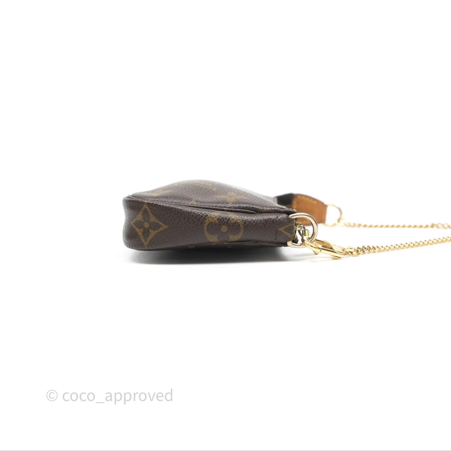 Louis Vuitton Monogram Mini Pochette Accessories