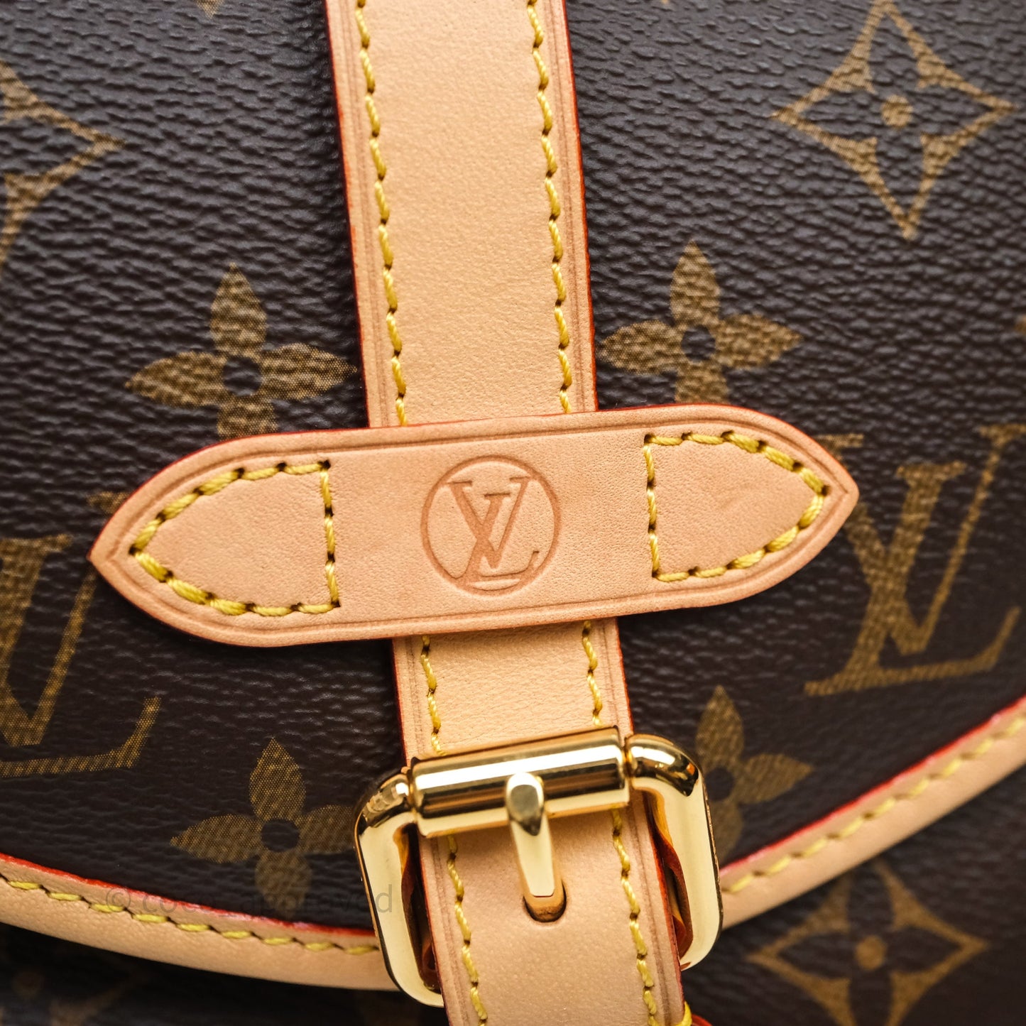 Louis Vuitton Saumur BB Monogram Bag Gold Hardware