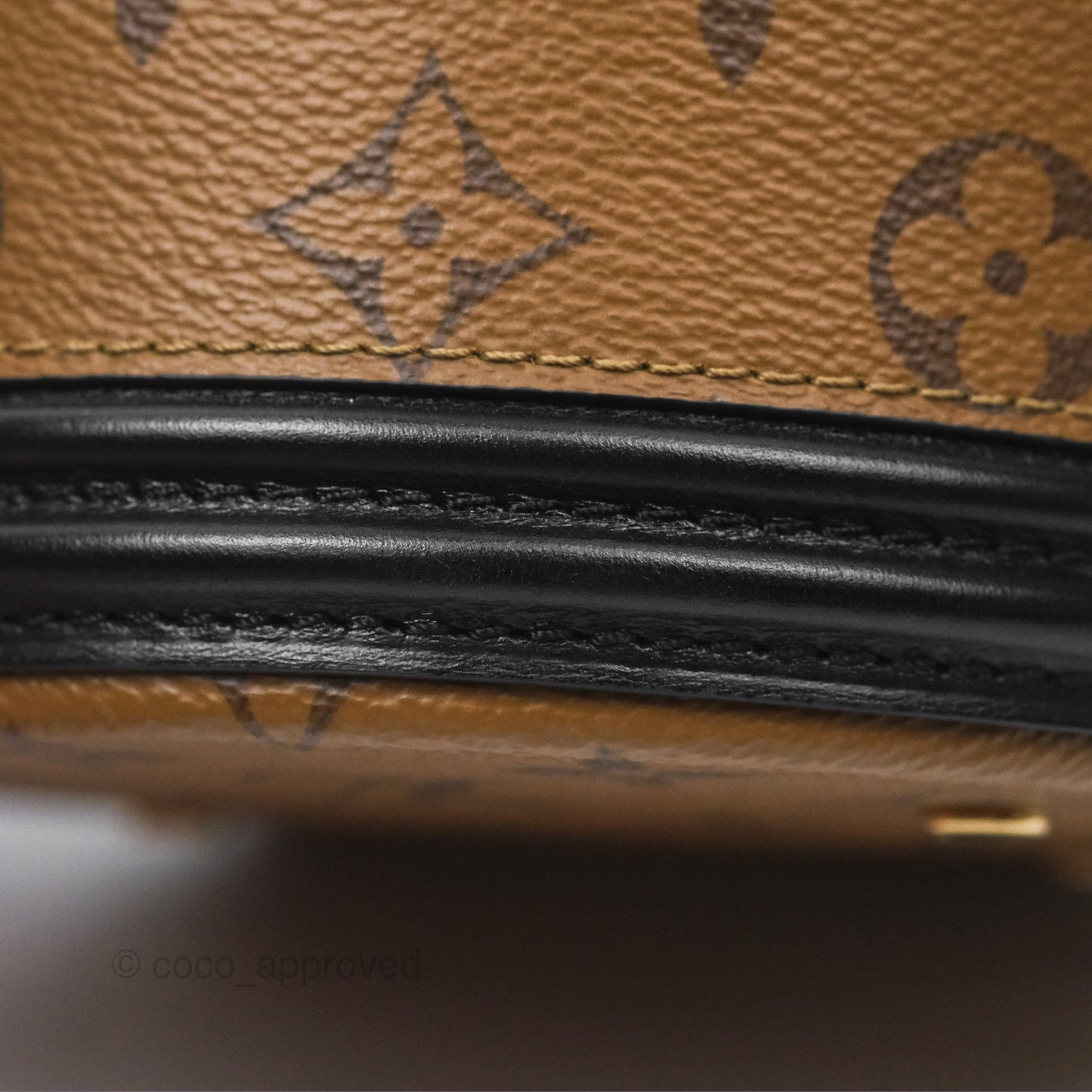 Louis Vuitton Monogram Canvas Reverse Cannes Bag