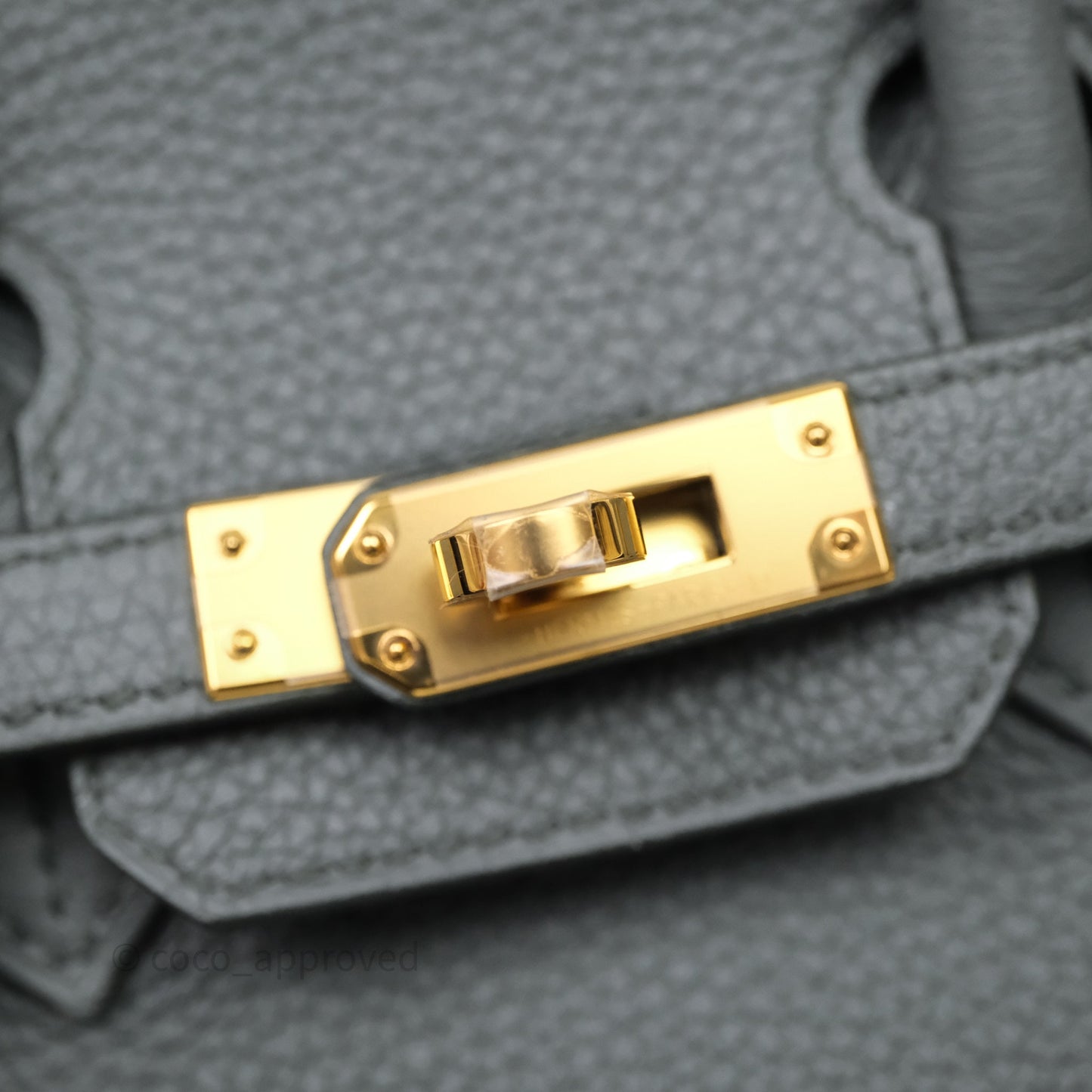 Hermes Birkin 25 Vert Amande Togo Gold Hardware