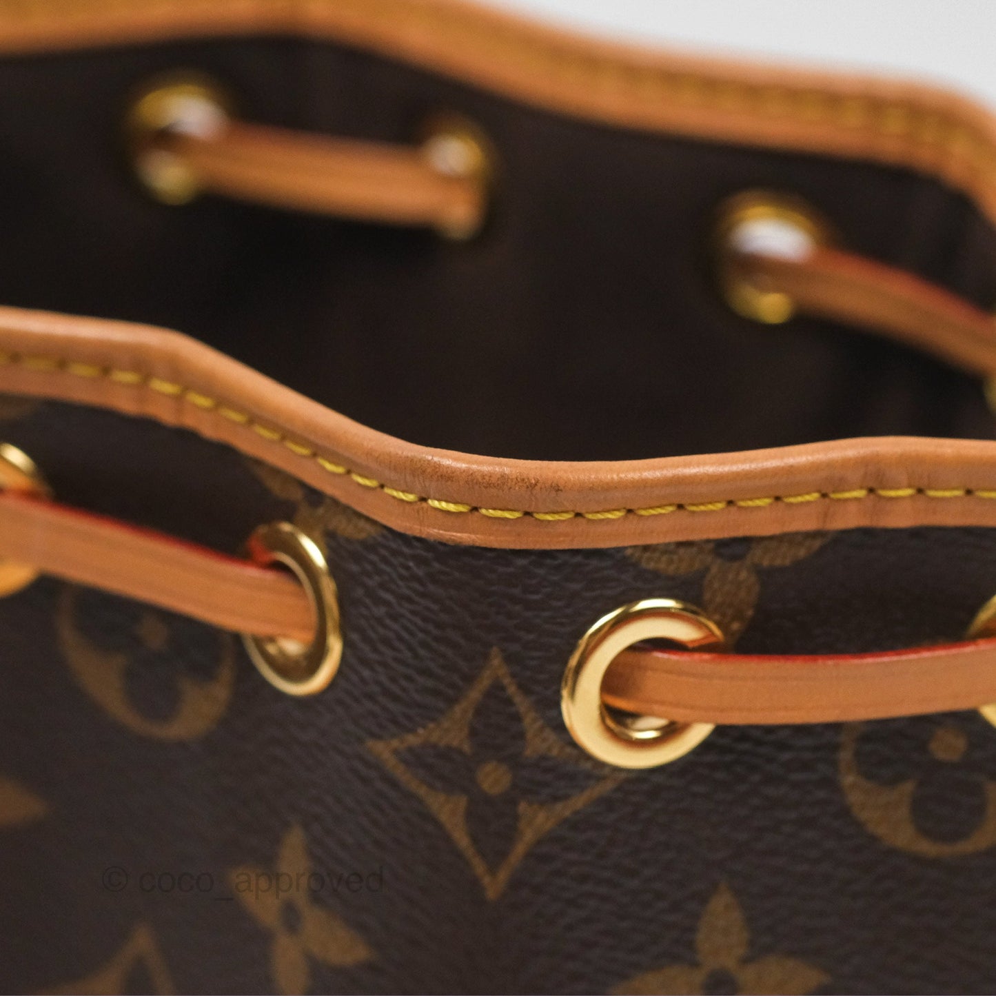 Louis Vuitton Nano Noe Monogram Canvas